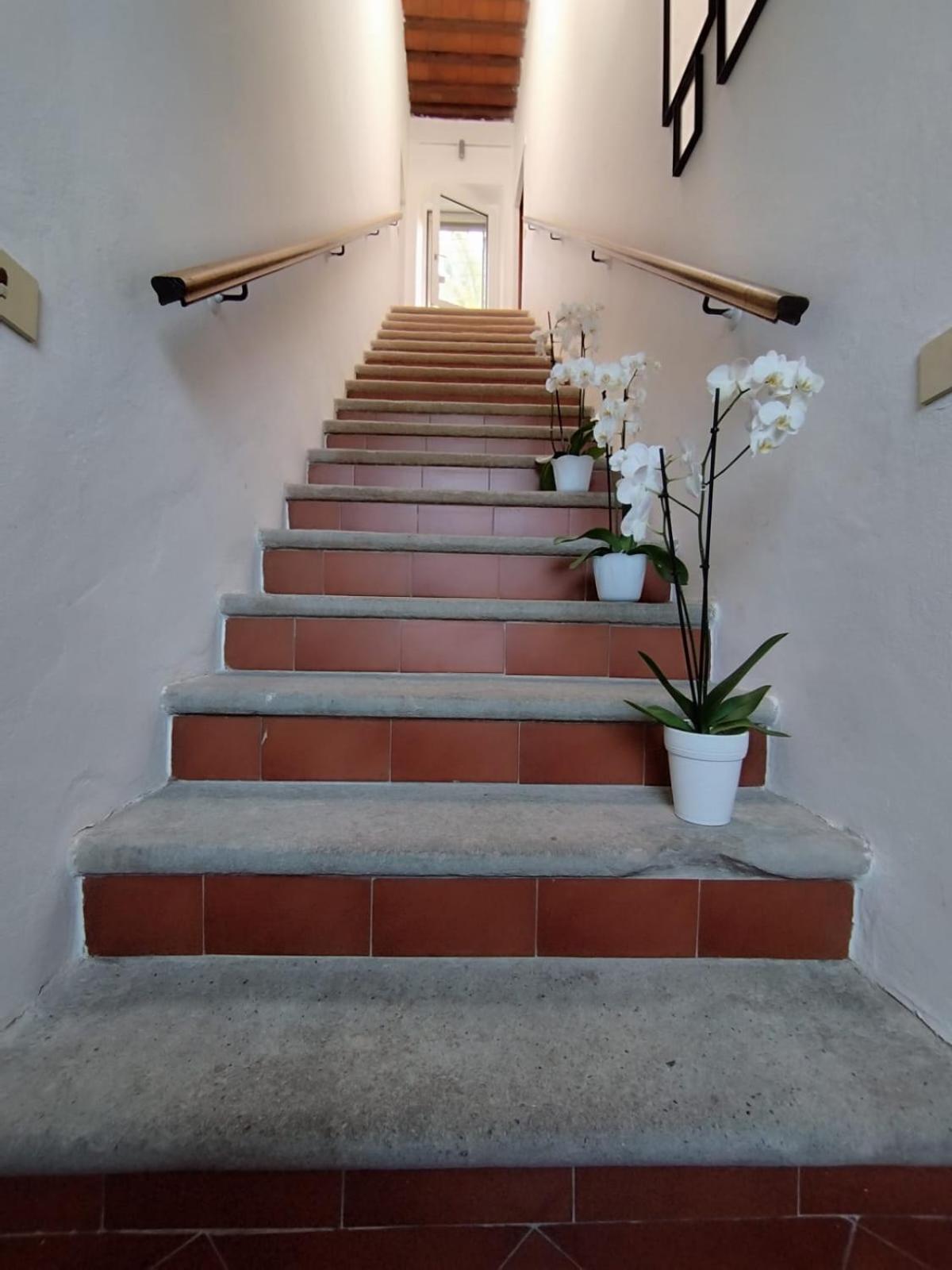 Bed and Breakfast La Domus Di Cosa Ansedónia Exterior foto